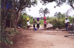 Jungle Dwellers Enjoying Good Source of Water
